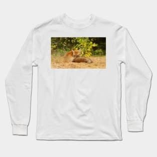 Red Fox, Algonquin Park Long Sleeve T-Shirt